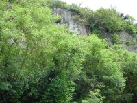 Mt. Machanao