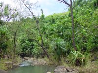Tarzan Falls