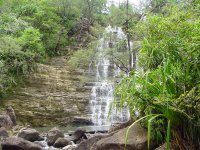 Tarzan Falls